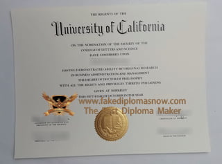 University of California Berkeley Doctor of Philosophy diploma.pdf