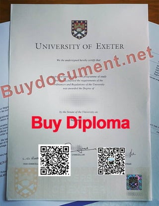 University of Exeter degree