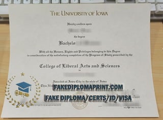 University of Iowa degree.pdf