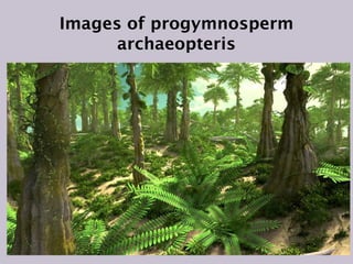 Images of progymnosperm
archaeopteris
 