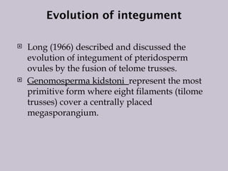 Evolution of integument
 Long (1966) described and discussed the
evolution of integument of pteridosperm
ovules by the fusion of telome trusses.
 Genomosperma kidstoni represent the most
primitive form where eight filaments (tilome
trusses) cover a centrally placed
megasporangium.
 