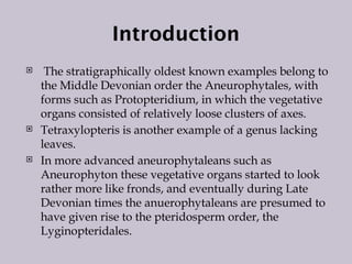 Introduction
 The stratigraphically oldest known examples belong to
the Middle Devonian order the Aneurophytales, with
forms such as Protopteridium, in which the vegetative
organs consisted of relatively loose clusters of axes.
 Tetraxylopteris is another example of a genus lacking
leaves.
 In more advanced aneurophytaleans such as
Aneurophyton these vegetative organs started to look
rather more like fronds, and eventually during Late
Devonian times the anuerophytaleans are presumed to
have given rise to the pteridosperm order, the
Lyginopteridales.
 