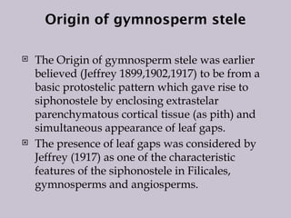 Origin of gymnosperm stele
 The Origin of gymnosperm stele was earlier
believed (Jeffrey 1899,1902,1917) to be from a
basic protostelic pattern which gave rise to
siphonostele by enclosing extrastelar
parenchymatous cortical tissue (as pith) and
simultaneous appearance of leaf gaps.
 The presence of leaf gaps was considered by
Jeffrey (1917) as one of the characteristic
features of the siphonostele in Filicales,
gymnosperms and angiosperms.
 