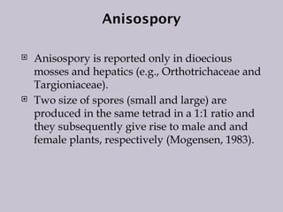 Anisospory
 Anisospory is reported only in dioecious
mosses and hepatics (e.g., Orthotrichaceae and
Targioniaceae).
 Two size of spores (small and large) are
produced in the same tetrad in a 1:1 ratio and
they subsequently give rise to male and and
female plants, respectively (Mogensen, 1983).
 