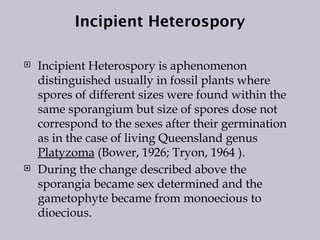 Incipient Heterospory
 Incipient Heterospory is aphenomenon
distinguished usually in fossil plants where
spores of different sizes were found within the
same sporangium but size of spores dose not
correspond to the sexes after their germination
as in the case of living Queensland genus
Platyzoma (Bower, 1926; Tryon, 1964 ).
 During the change described above the
sporangia became sex determined and the
gametophyte became from monoecious to
dioecious.
 