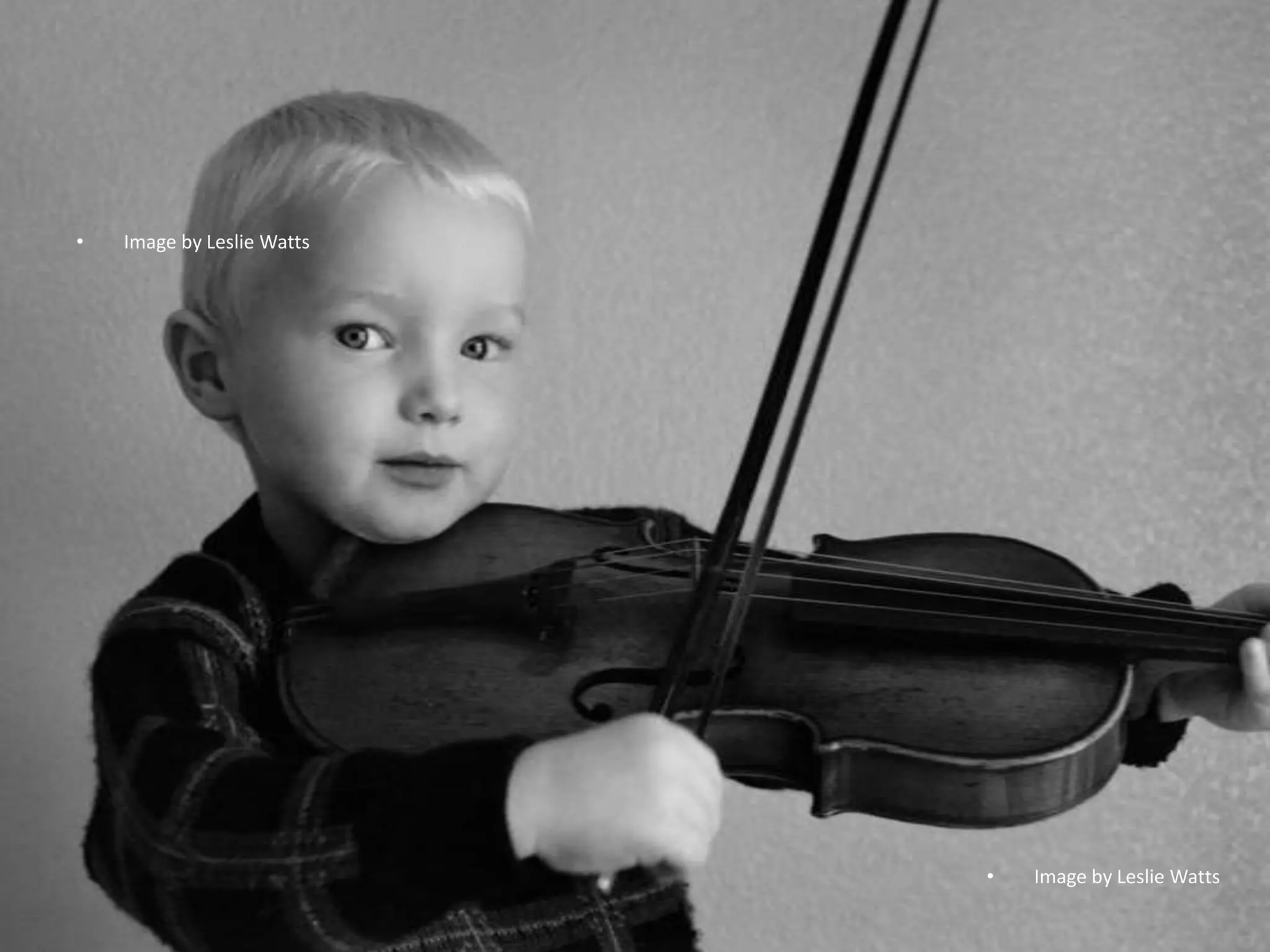 •   Image by Leslie Watts




                            •   Image by Leslie Watts
 