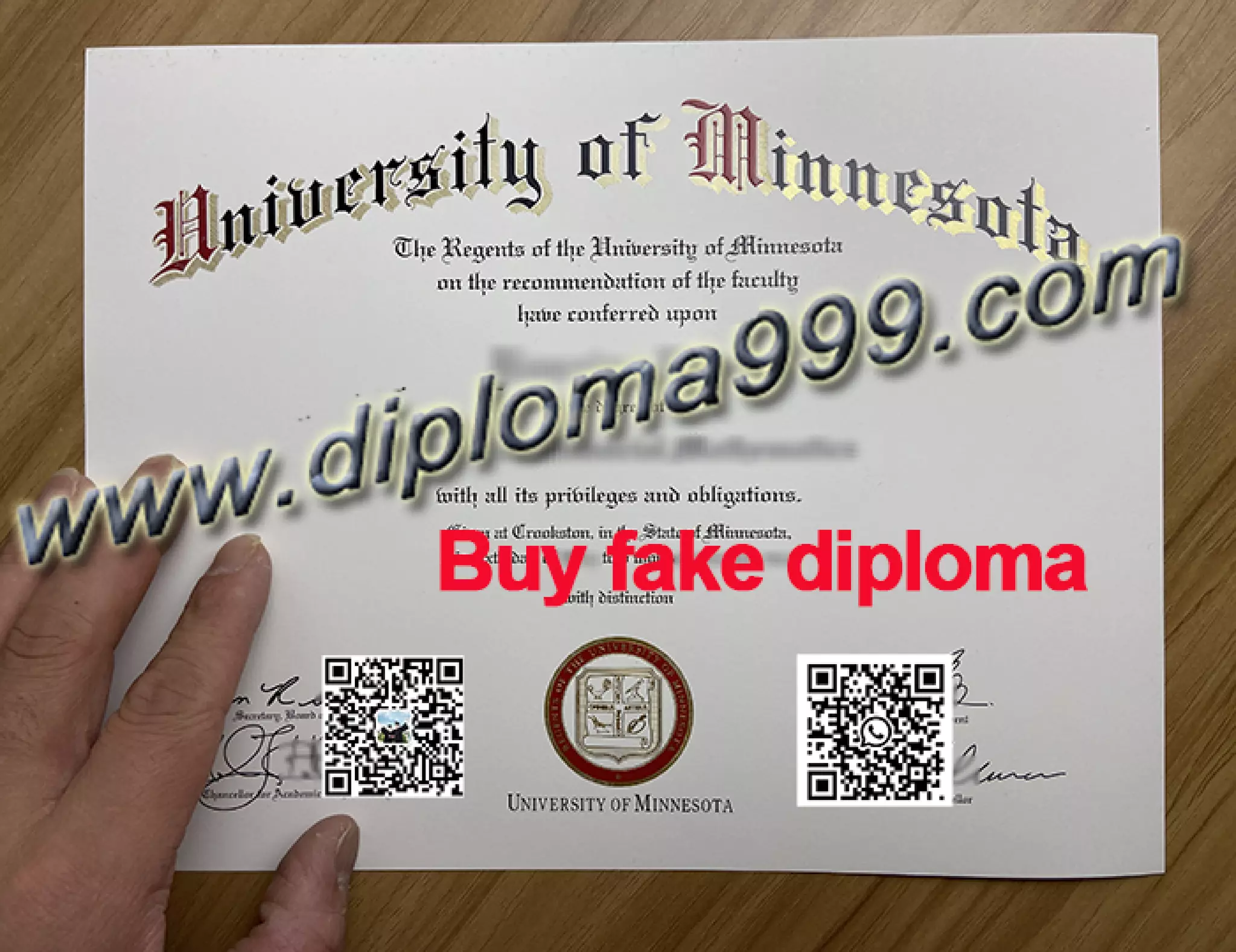 University of Minnesota diploma PPT