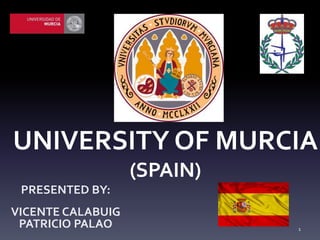 UNIVERSITY OF MURCIA
(SPAIN)
PRESENTED BY:
VICENTE CALABUIG
PATRICIO PALAO 1
 