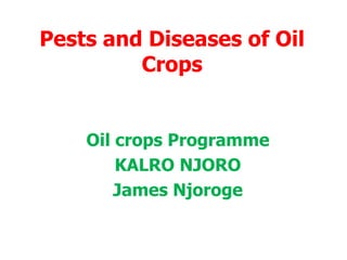 Pests and Diseases of Oil
Crops
Oil crops Programme
KALRO NJORO
James Njoroge
 