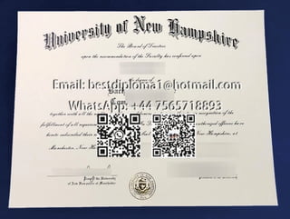 Fake University of New Hampshire (UNH) Diploma