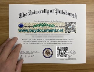 Pitt diploma
