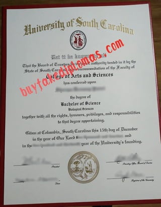 University of South Carolina Degree buy fake degree