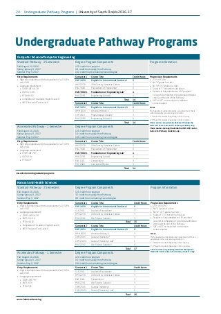 University of south florida brochure | PDF