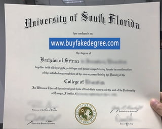 university of south florida diploma from buyfakedegree.com.pdf