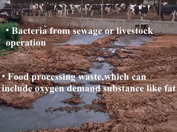 Water Pollution In Pakistan