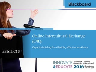 Online Intercultural Exchange
(OIE):
Capacity building for a flexible, effective workforce.
 