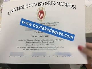 university of wisconsin madison degree.pdf