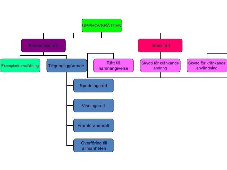 University Plagiarism