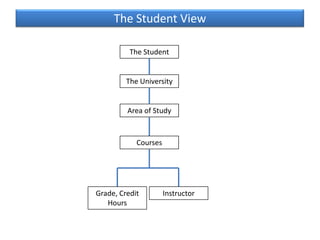 Areas of Study