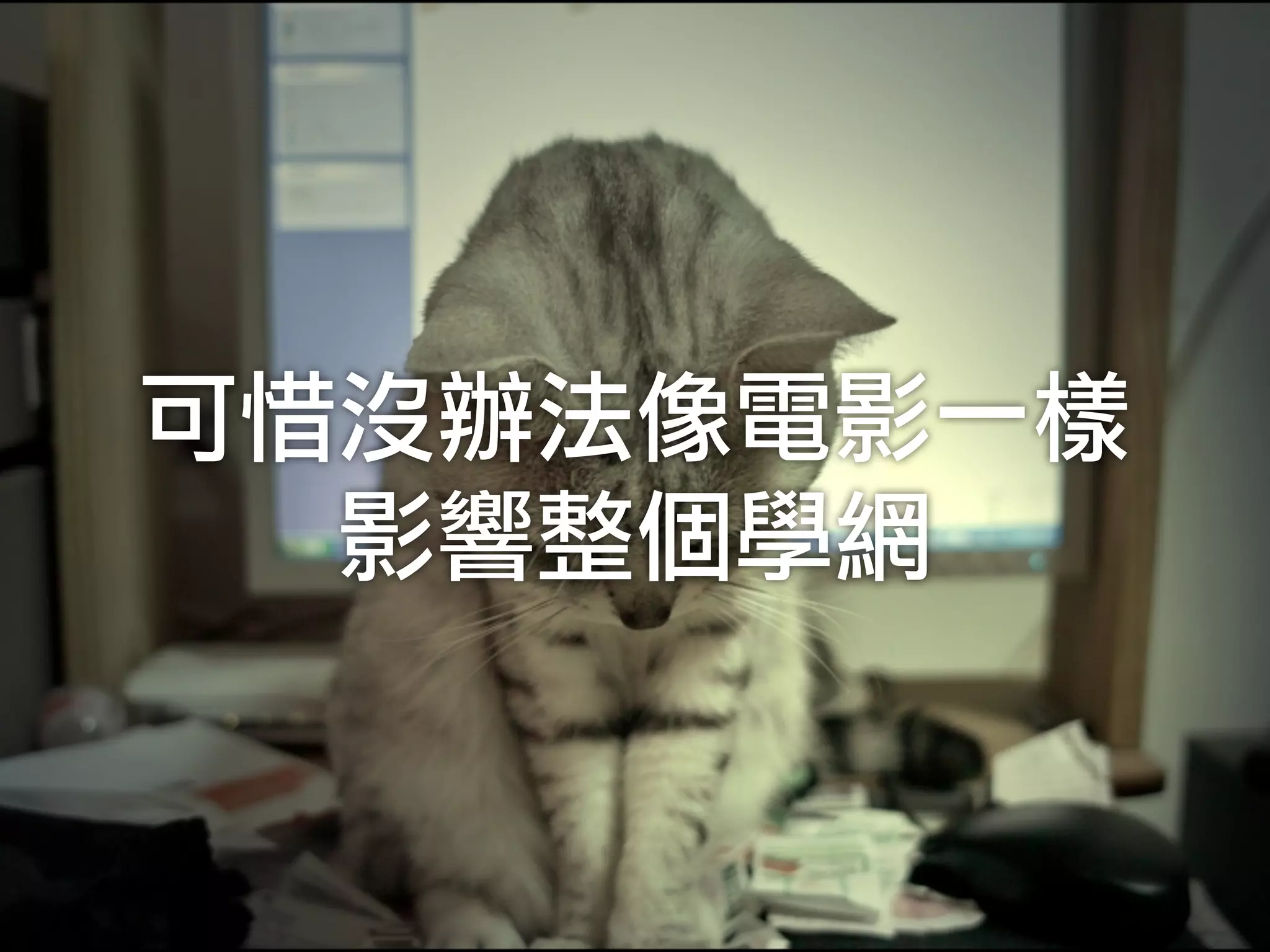 可惜沒辦法像電影一樣	 
影響整個學網
 