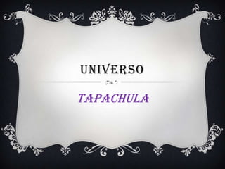 universo,[object Object],Tapachula,[object Object]