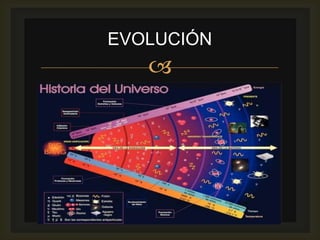 EVOLUCIÓN
   
 