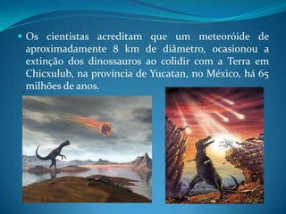 Os cientistas acreditam que um meteoróide de aproximadamente 8 km de diâmetro, ocasionou a extinção dos dinossauros ao colidir com a Terra em Chicxulub, na província de Yucatan, no México, há 65 milhões de anos. 