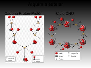     Cadena Protón-Protón             Ciclo CNO
Alquimia estelar
 