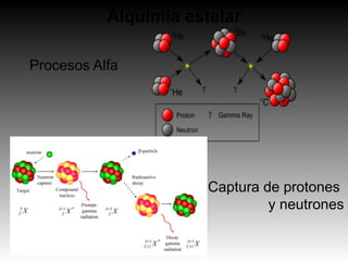        Procesos Alfa             
                 Captura de protones 
y neutrones
Alquimia estelar
 