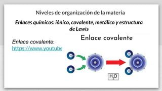 Niveles de organización de la materia
Enlaces químicos: iónico, covalente, metálico y estructura
de Lewis
Enlace covalente:
https://www.youtube.com/watch?v=ign6-bbOqF4
 