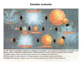 Estrellas: evolución 