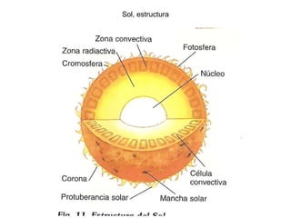 Sol, estructura 