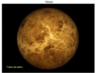 Venus 