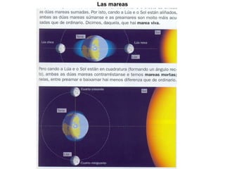 Las mareas 