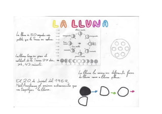 Univers projecte 2na_2013_2014