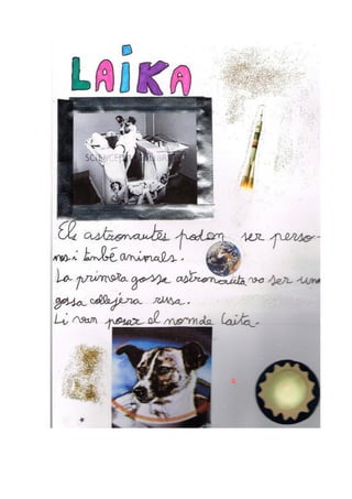 Univers projecte 2nb_2013_2014