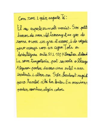 Univers projecte 2nb_2013_2014