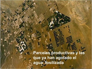 Parcelas productivas y las que ya han agotado el agua  fosilizada 