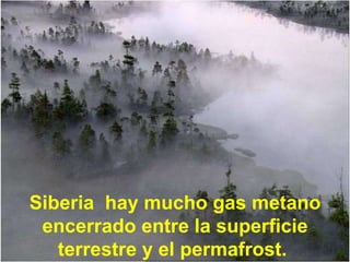 Siberia  hay mucho gas metano encerrado entre la superficie terrestre y el permafrost.  