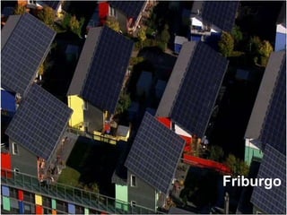 Friburgo 