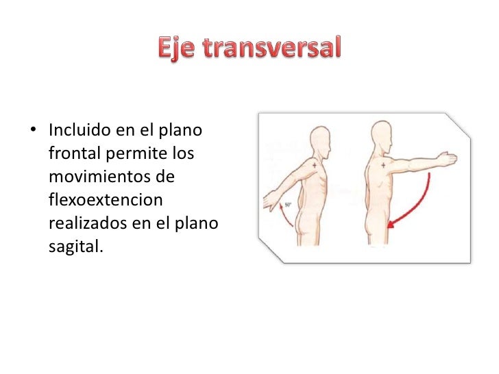 Flexion Y Extension De Hombro