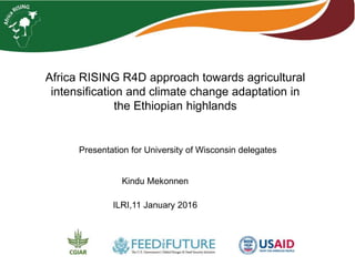 Africa RISING R4D approach towards agricultural
intensification and climate change adaptation in
the Ethiopian highlands
ILRI,11 January 2016
Kindu Mekonnen
Presentation for University of Wisconsin delegates
 