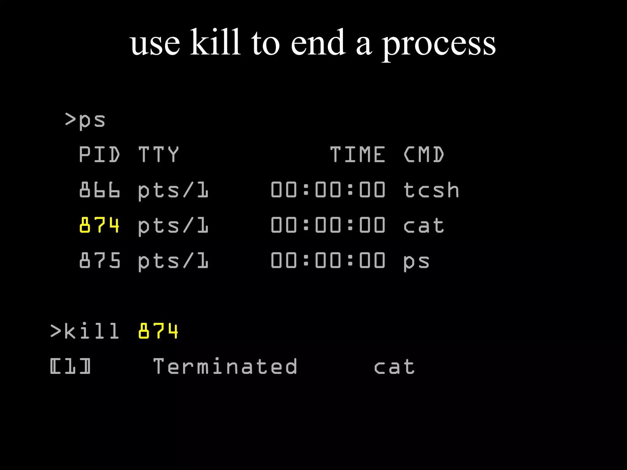 use kill to end a process
>ps
PID TTY TIME CMD
866 pts/1 00:00:00 tcsh
874 pts/1 00:00:00 cat
875 pts/1 00:00:00 ps
>kill 874
[1] Terminated cat
 