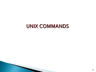 Unix