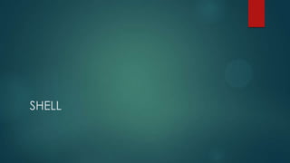 SHELL
 