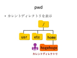 pwd
• カレントディレクトリを表示
 