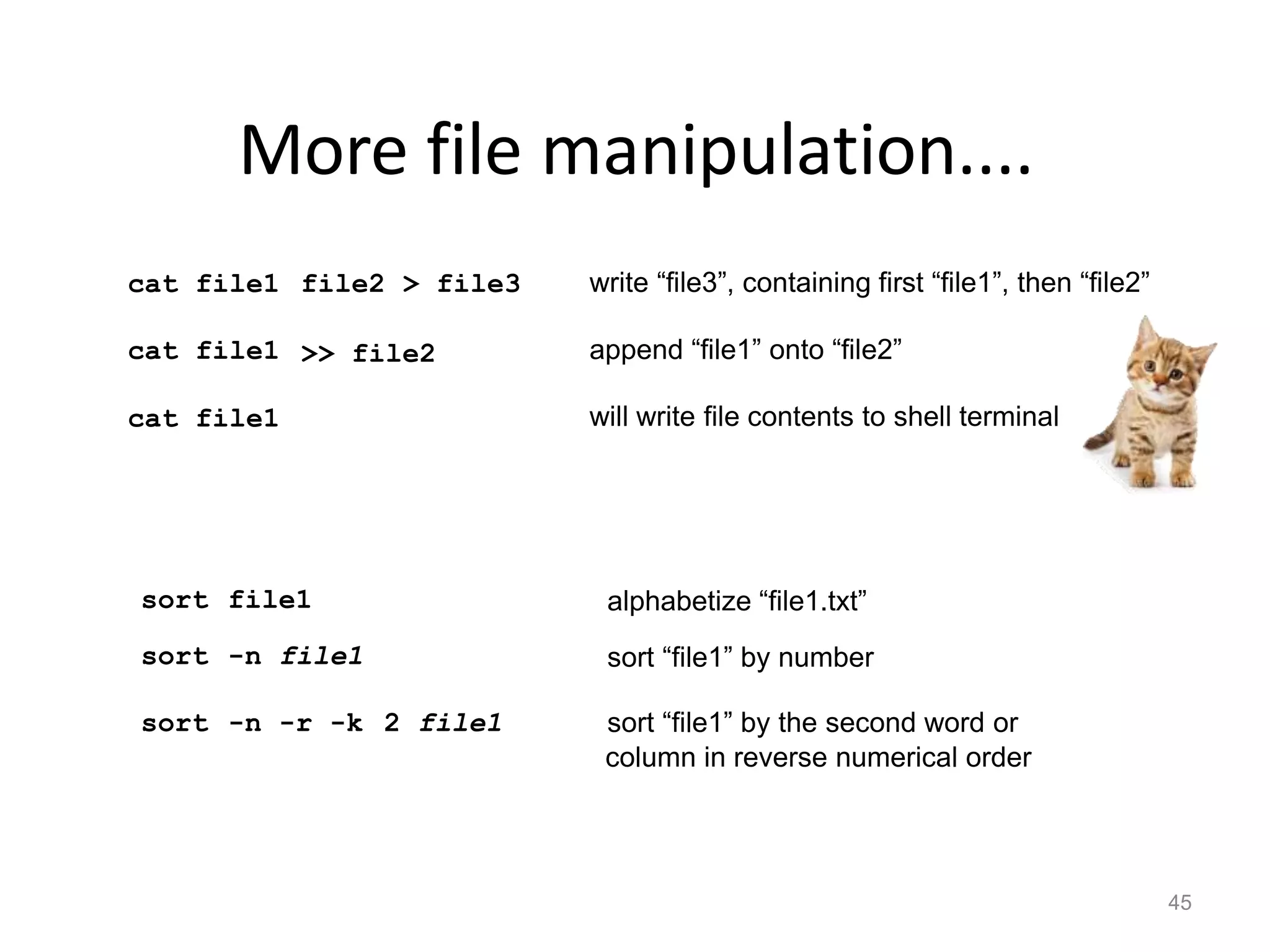 More file manipulation....
cat file1 file2 > file3
>> file2
write “file3”, containing first “file1”, then “file2”
append “file1” onto “file2”
will write file contents to shell terminal
cat file1
cat file1
Careful
!
45
sort file1 alphabetize “file1.txt”
sort -n file1 sort “file1” by number
sort -n -r -k 2 file1 sort “file1” by the second word or
column in reverse numerical order
 