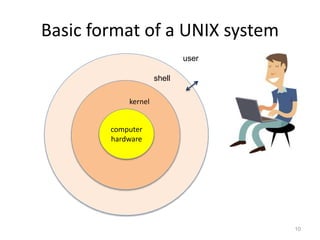 Basic format of a UNIX system
10
kernel
computer
hardware
user
shell
 
