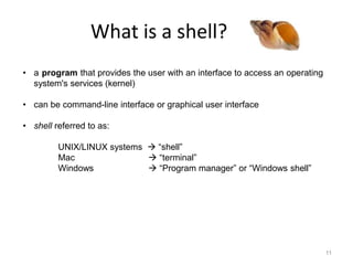 What is a shell?
11
• a that provides the user with an interface to access an operating
system's services (kernel)
• can be command-line interface or graphical user interface
• shell referred to as:
UNIX/LINUX systems  “shell”
Mac  “terminal”
Windows  “Program manager” or “Windows shell”
program
 