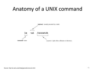 Anatomy of a UNIX command
15Source: http://sc.tamu.edu/help/general/unix/unix.html
 